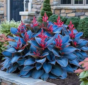 Хоста Грин Фог купить по цене от 669р. в интернет-магазине «Посадика» с доставкой почтой в в Аксайе и по всей России – [изображение №1].