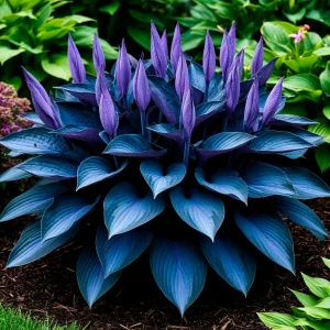 Хоста Сикрет Гров купить по цене от 570р. в интернет-магазине «Посадика» с доставкой почтой в в Аксайе и по всей России – [изображение №1].